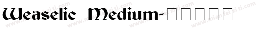 Weaselic Medium字体转换